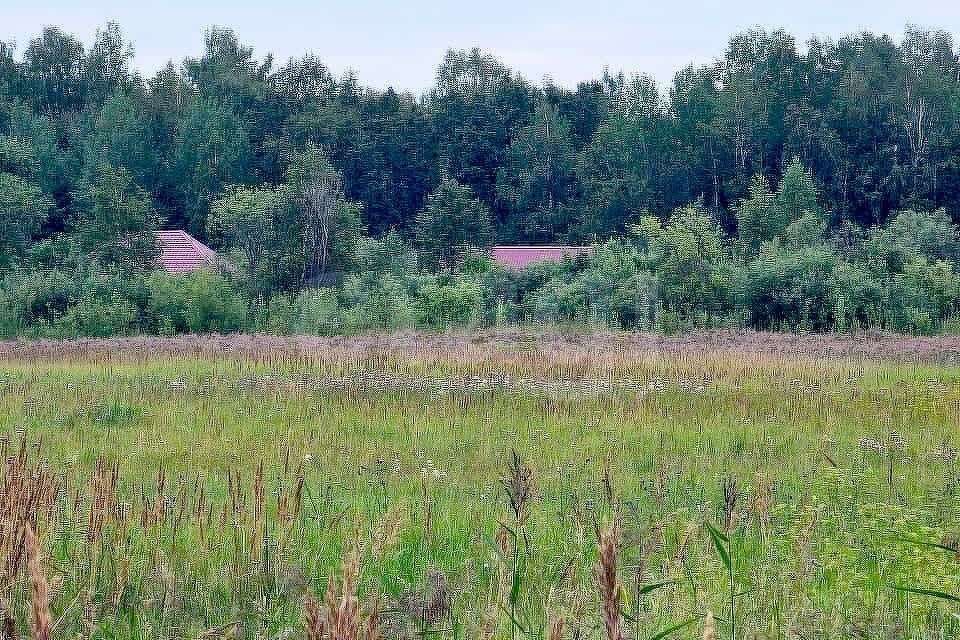 земля р-н Нижнетавдинский село Средние Тарманы фото 3