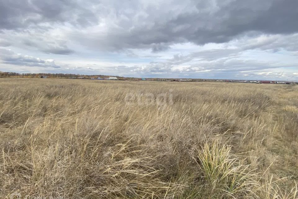 земля р-н Алтайский село Белый Яр фото 2