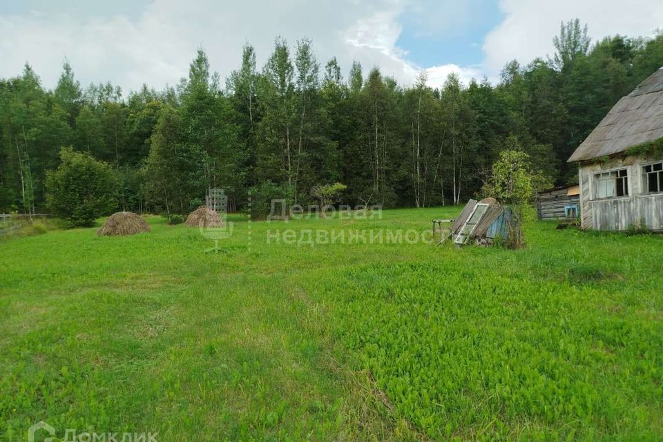 земля р-н Новгородский фото 3