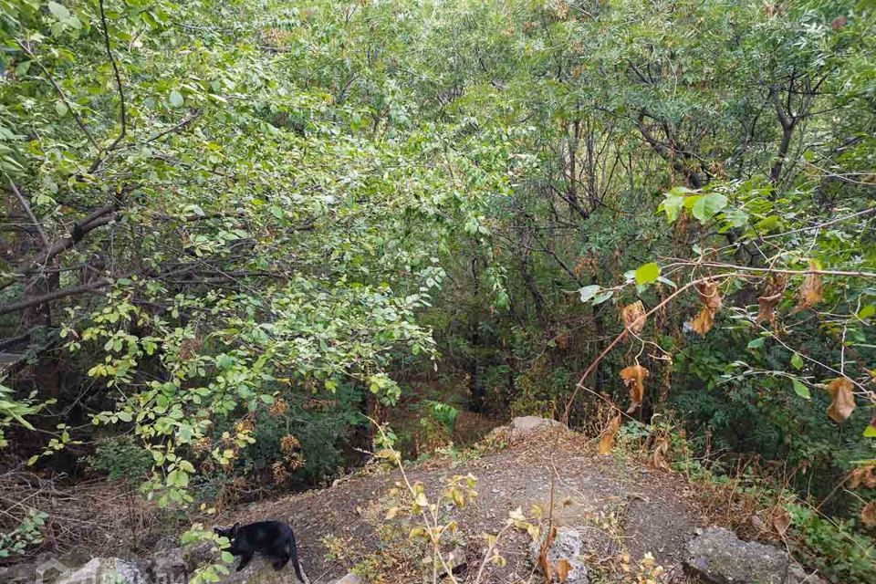 земля р-н Ленинский с Виноградное Ялта городской округ, улица Курчатова фото 2