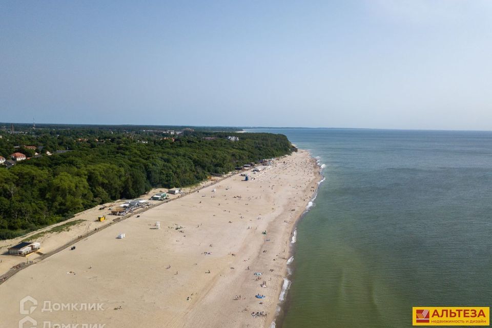 земля р-н Зеленоградский Прислово фото 3