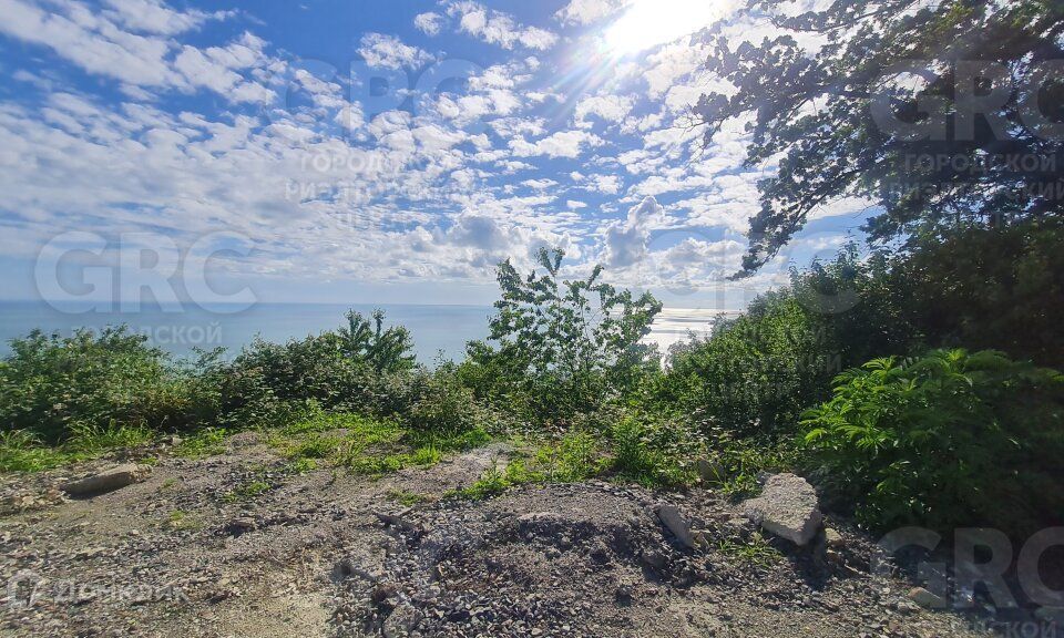 земля городской округ Сочи, Ландышевая, СНТ Железнодорожник фото 4