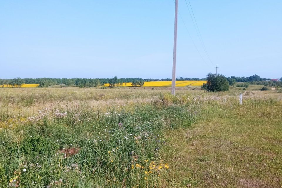 земля р-н Новоусманский с Орлово ул Больничная фото 9