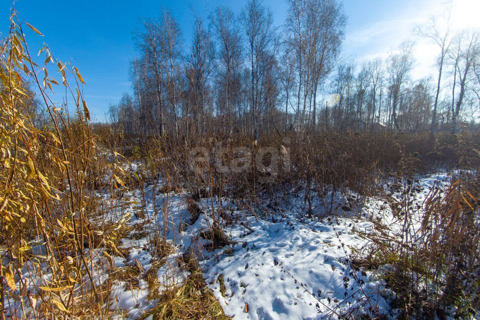 земля р-н Нижнетавдинский снт Сотовик ул Вишневая фото 8