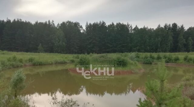 д Зубаниха ул Огородная фото