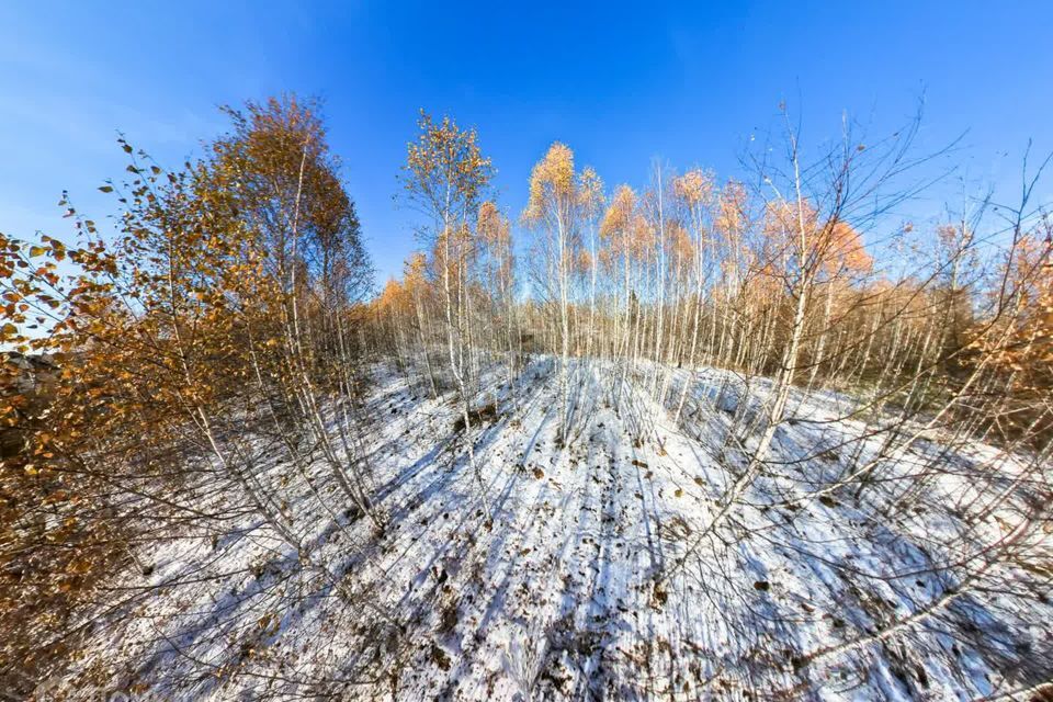 земля р-н Тюменский с Перевалово Сиреневая фото 6