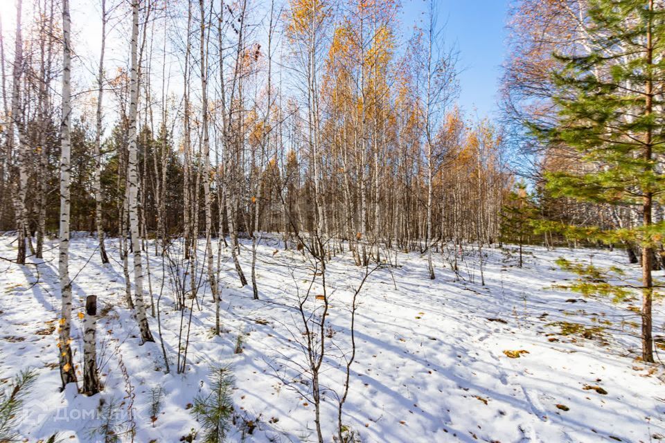 земля р-н Тюменский с Перевалово Сиреневая фото 10