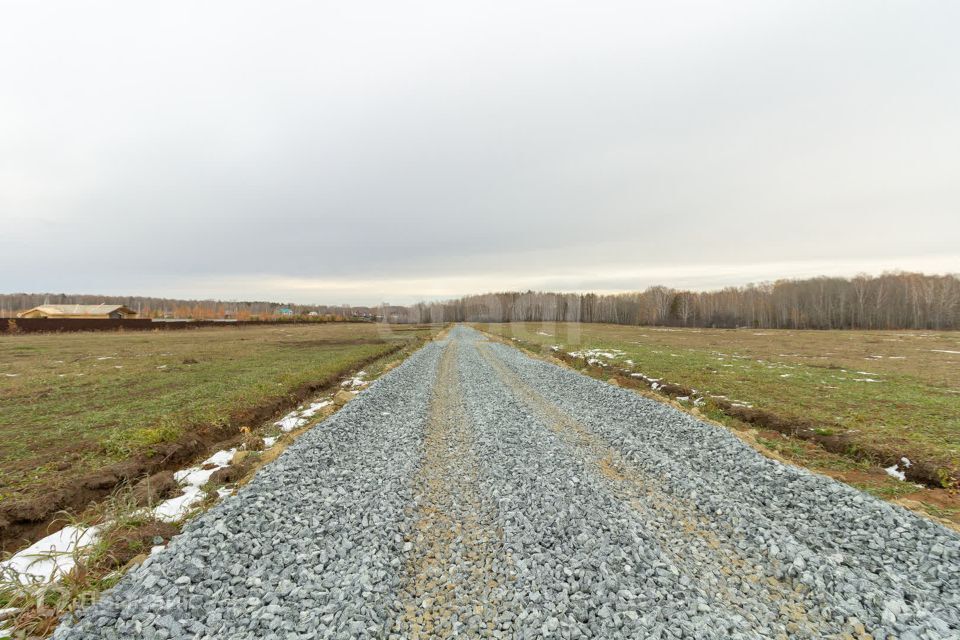 земля Тюмень городской округ, СО Вишенка, Южная улица, 100 фото 3