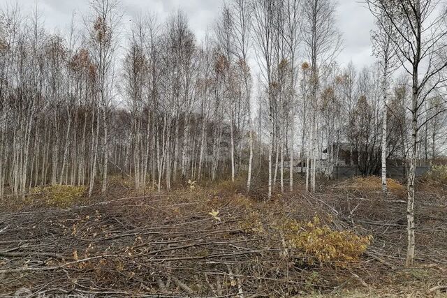 Тюмень городской округ фото