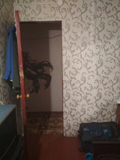 квартира г Орел р-н Заводской ул Достоевского 13 фото 4