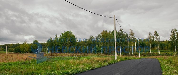 земля р-н Всеволожский Колтушское городское поселение, Крокусы кп, Улица Дыбенко, 70 фото 5