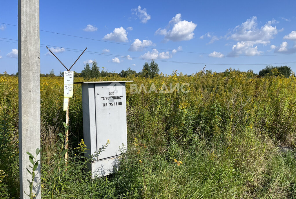 земля р-н Гурьевский п Малое Васильково днп Слобода ул Вишневая фото 6