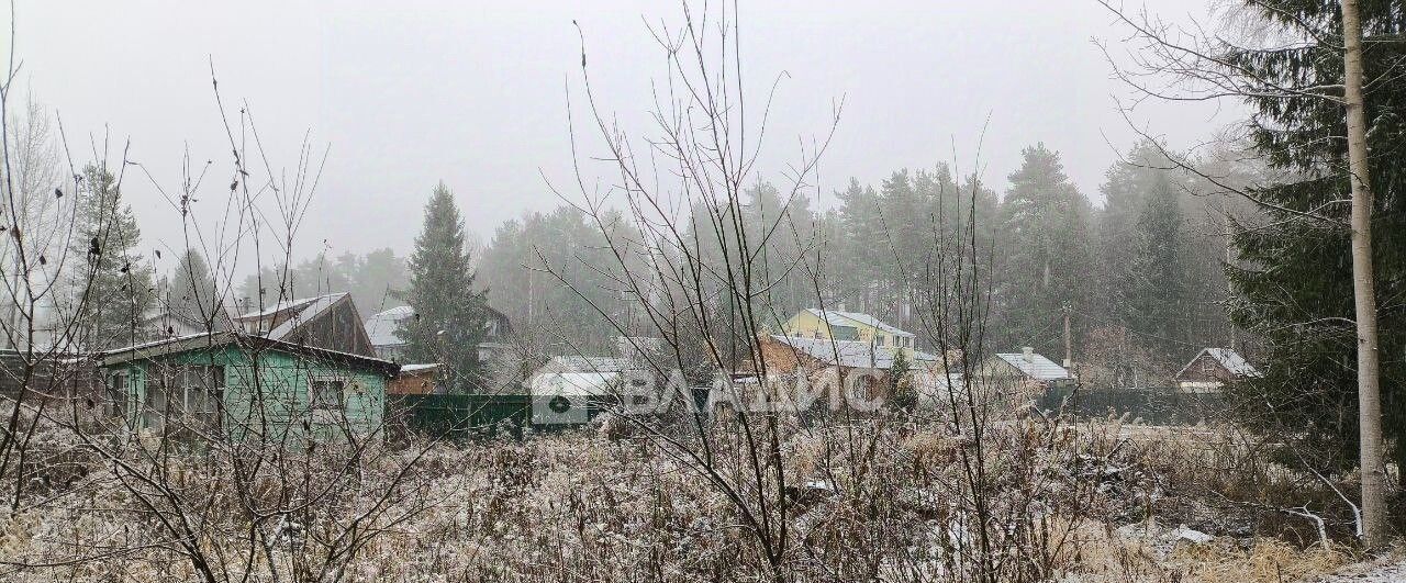 земля р-н Всеволожский массив Белоостров снт Заря-4 Сертоловское городское поселение, луч 7-й, 207 фото 3