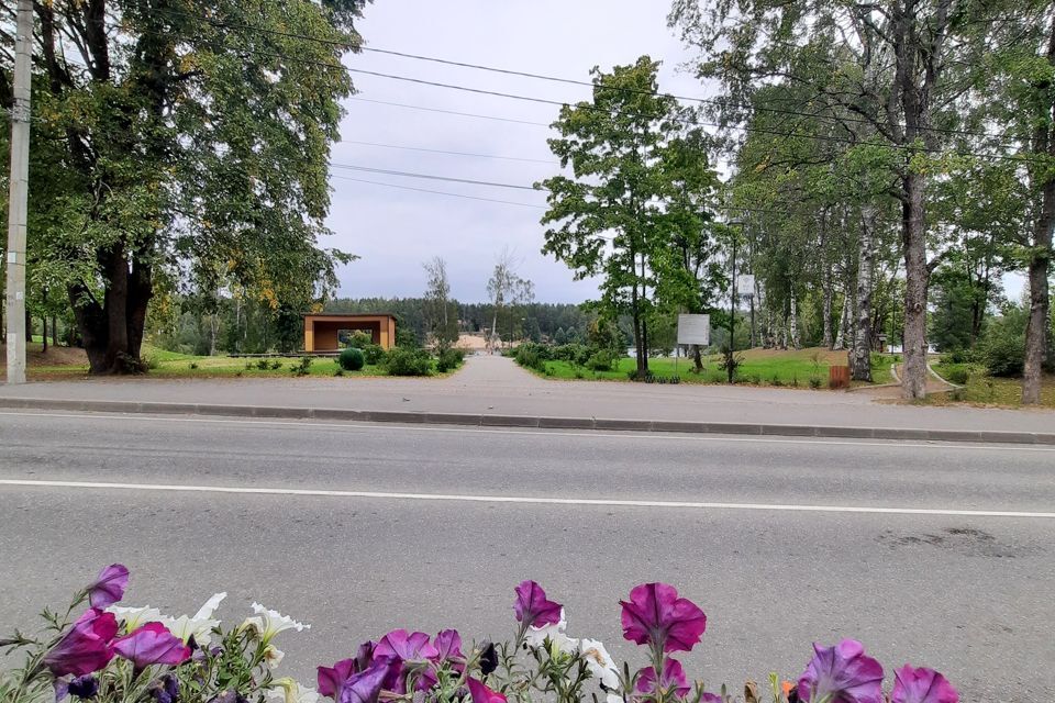 квартира р-н Выборгский городской посёлок Рощино, Социалистическая улица, 102к 2 фото 6