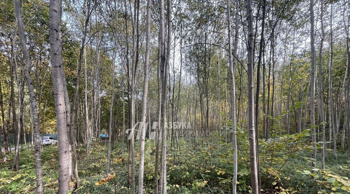 земля городской округ Одинцовский г Звенигород Санаторий Поречье тер. фото 3