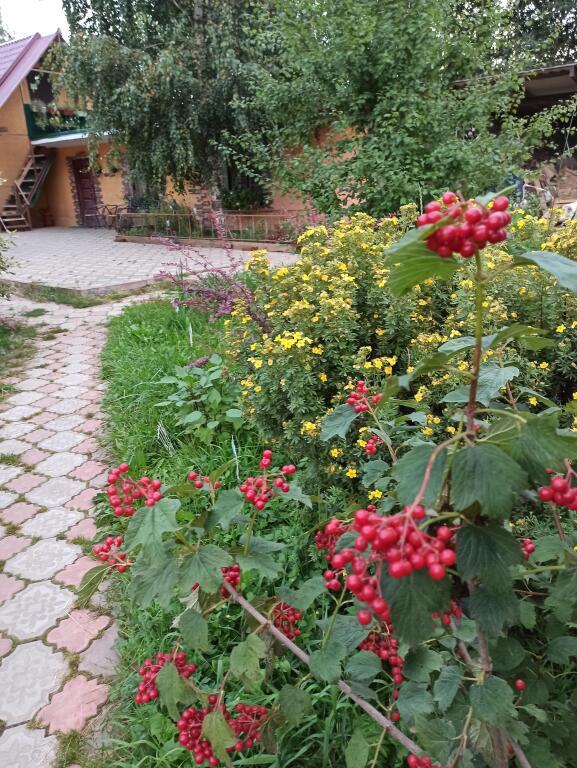 дом городской округ Волоколамский д Новопавловское ул Лесная д. 10 фото 11