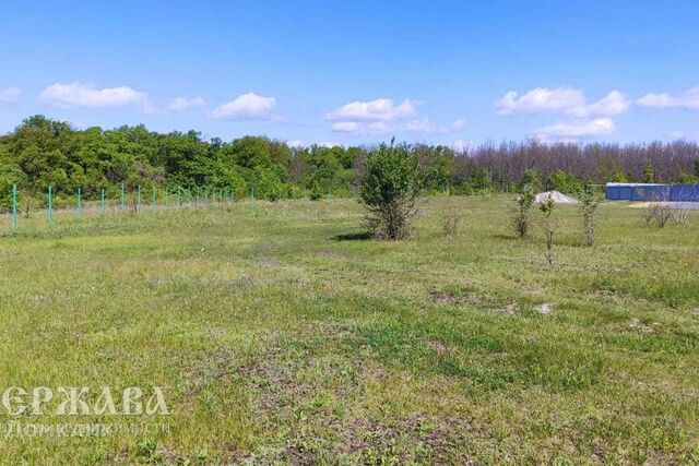 земля Сосенки, Старооскольский городской округ фото