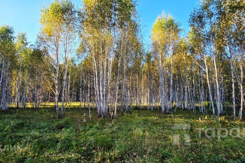 земля р-н Сосновский территория жилая застройка СИЖ фото 8