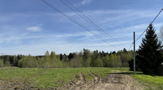 городской округ Дмитровский д Дмитровка Лобня фото