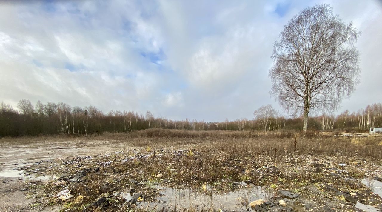 офис городской округ Пушкинский г Красноармейск пос. Трудовой фото 2