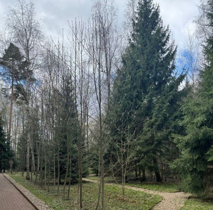 дом городской округ Красногорск д Поздняково Никольская Слобода кп, Аникеевка, 30 фото 21