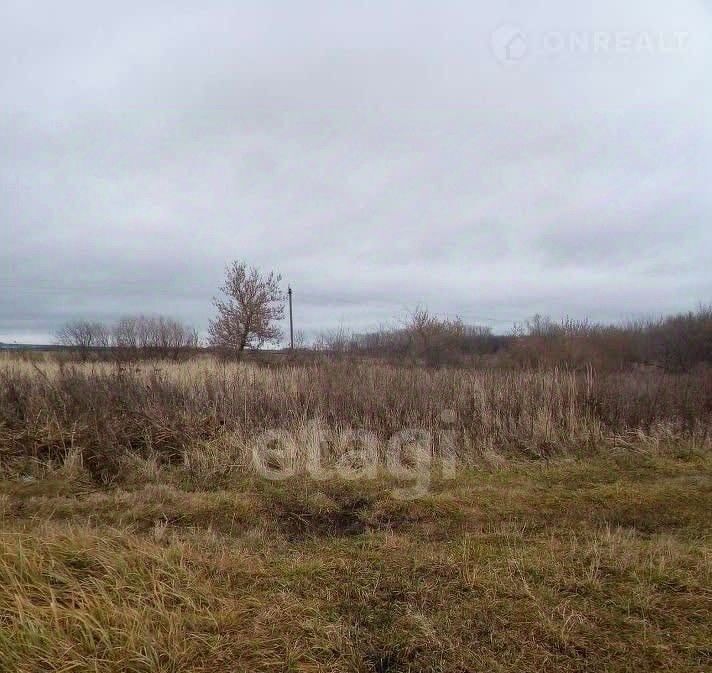 земля г Саранск рп Луховка ул Садовая фото 1