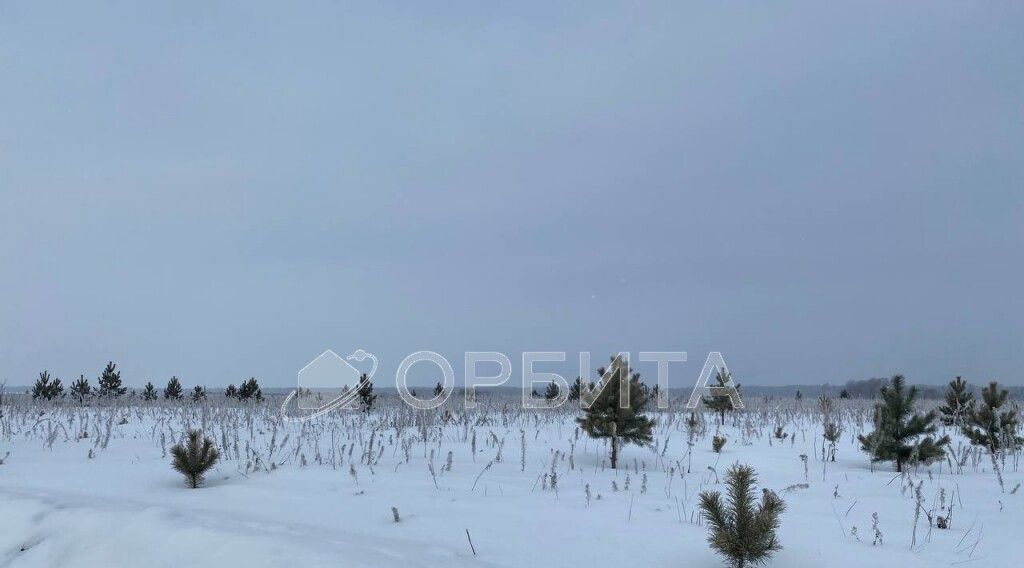 земля р-н Тюменский д Елань 14 фото 5