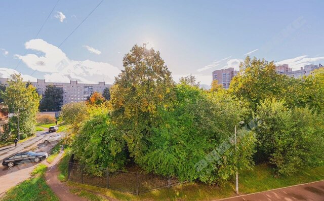 метро Проспект Просвещения округ Сергиевское фото