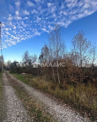 сад Ленинец-10 Буревестник фото