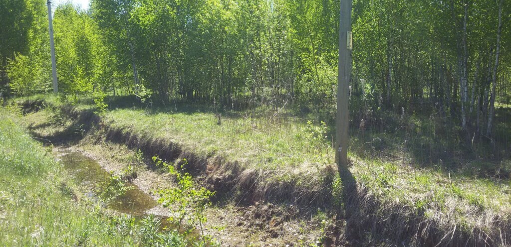 земля р-н Новгородский д Прилуки Бронницкое сельское поселение фото 1