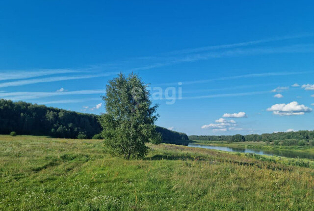 земля д Воеводино фото