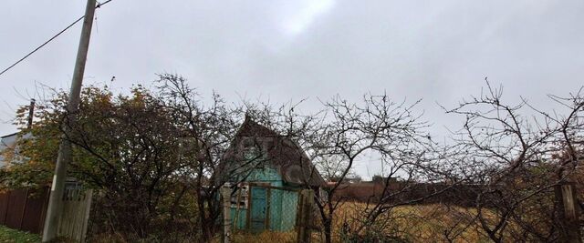 ул Рябиновая 2 фото
