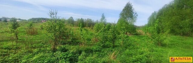 р-н Зеленоградский п Горбатовка Зеленоградский муниципальный округ фото