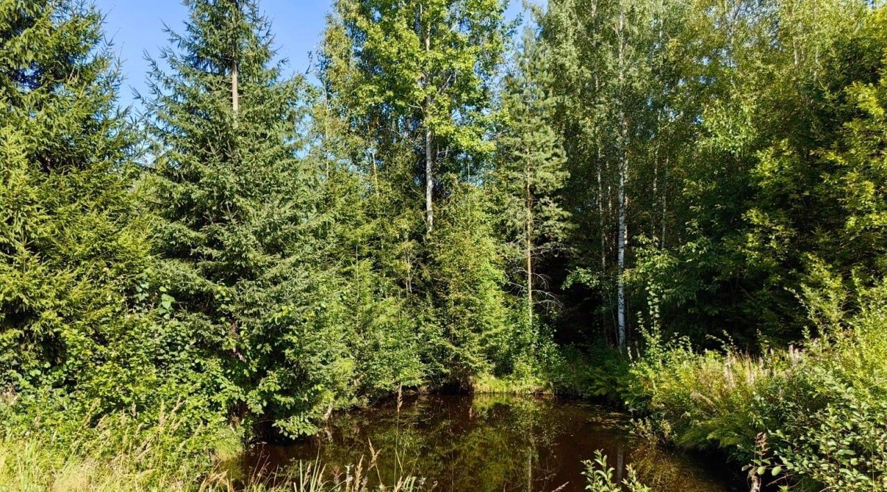 дом р-н Всеволожский массив Васкелово нп 2-я Линия Куйвозовское с/пос, Парнас, Чайка СНТ фото 14