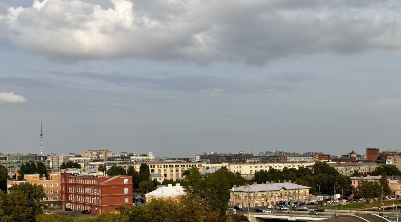 квартира г Санкт-Петербург метро Крестовский Остров пр-кт Петровский 9к/2 округ Петровский фото 2