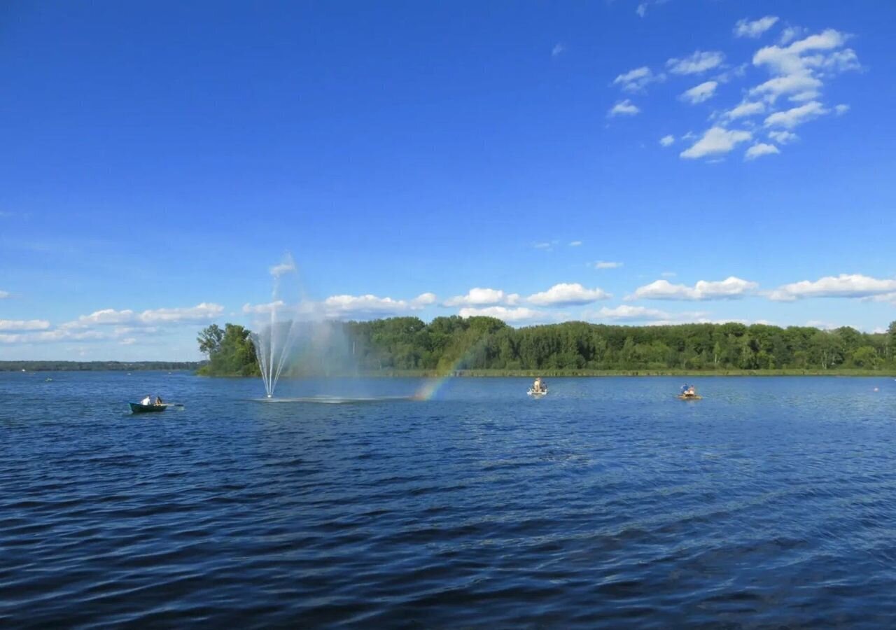 земля городской округ Клин д Заовражье 68 км, Клин, Рогачёвское шоссе фото 23