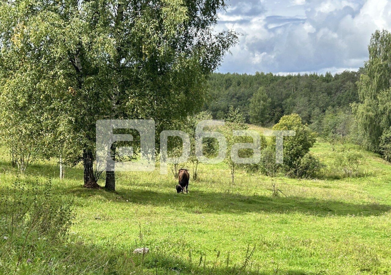 земля р-н Костромской д Пьяньково Самсоновское сельское поселение, Кострома фото 2