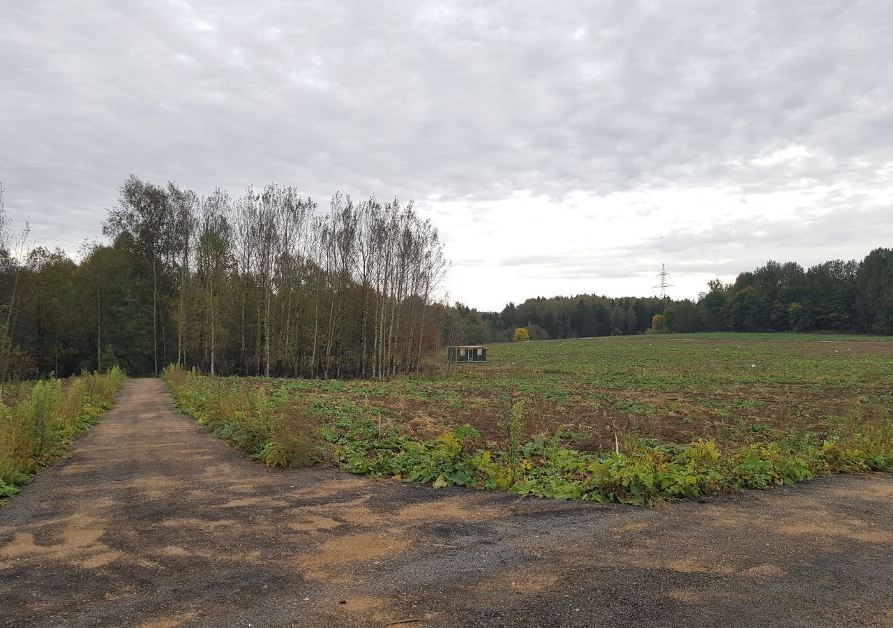 земля городской округ Дмитровский коттеджный поселок «Сорочаны» 62 км, г. о. Клин, Клин, Рогачёвское шоссе фото 2