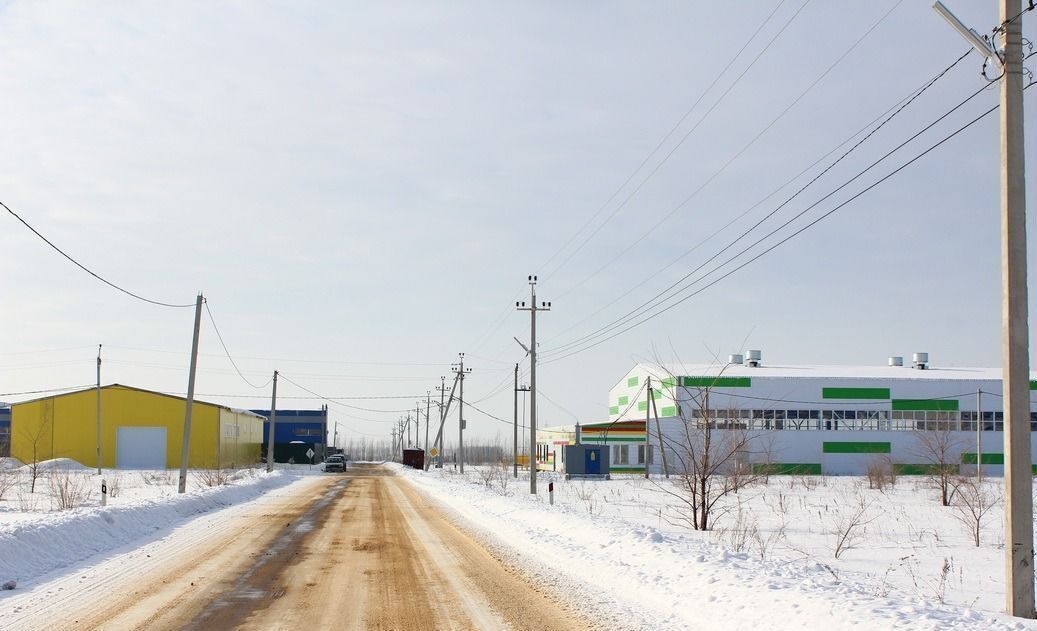 земля р-н Новоусманский с Новая Усмань Усманское 1-е сельское поселение, 1-й Парковый пр фото 7