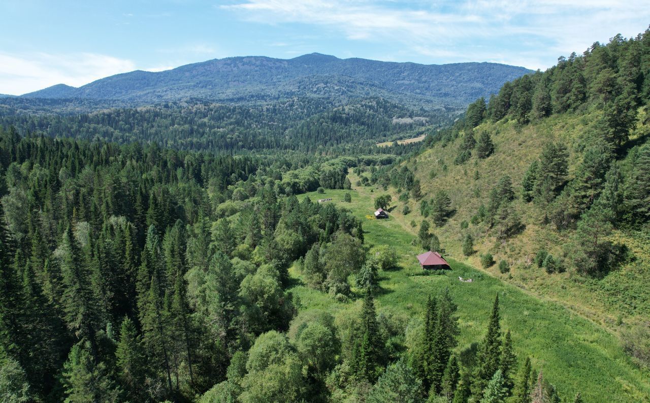 земля р-н Чойский с Кара-Торбок Горно-Алтайск фото 25