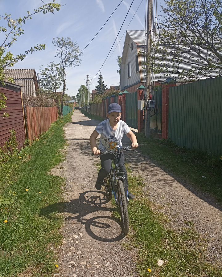 дом городской округ Богородский г Старая Купавна 19 км, 1-я ул, СНТ Радуга, Горьковское шоссе фото 10
