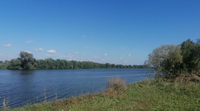 Воскресенск городской округ, Чайка дп фото