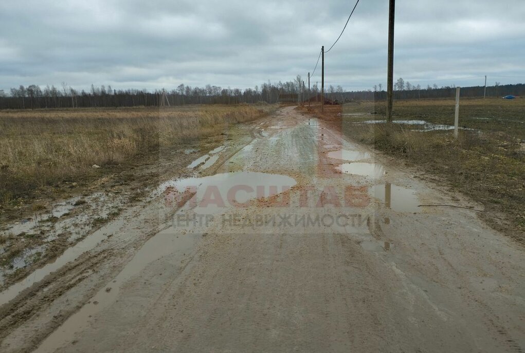 земля р-н Ломоносовский д Оржицы Оржицкое сельское поселение фото 1