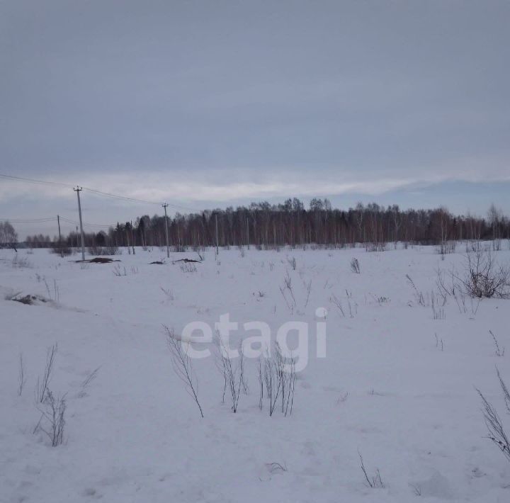 земля р-н Аргаяшский с Аргаяш ул Славы 12 фото 1