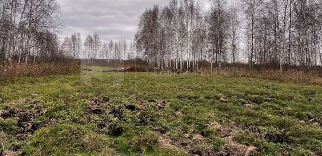 снт тер.Райские сады Ключевское сельское поселение фото