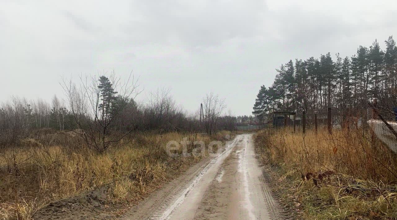 земля р-н Рамонский снт Изумруд пос, Новоживотинновское с фото 15