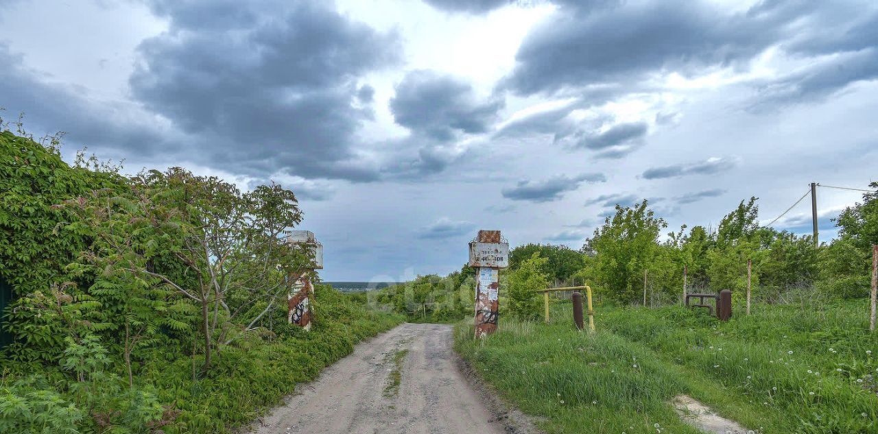 земля р-н Рамонский д Писаревка ул Центральная Карачунское с/пос фото 26