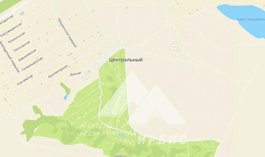 земля г Барнаул р-н Железнодорожный пл Советов фото 2