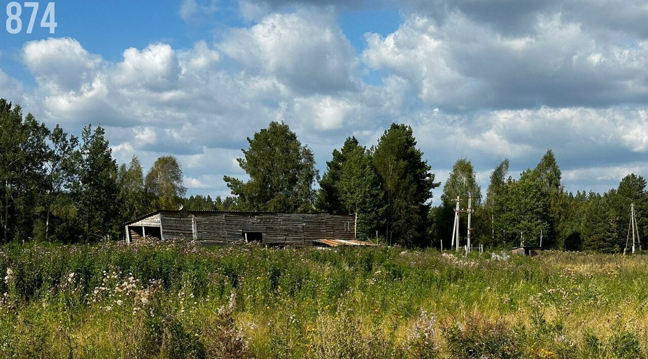 земля г Полевской п Большая Лавровка ул Зеленая фото 14