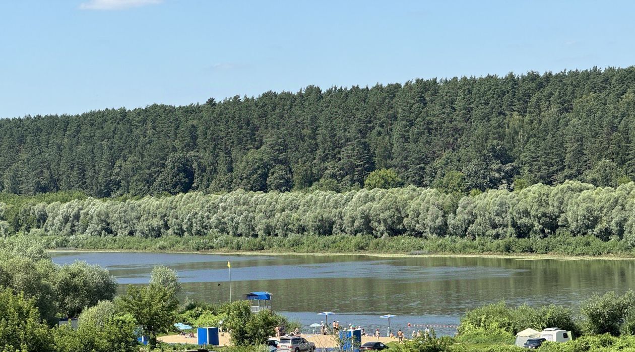 земля р-н Алексинский д Егнышевка ул Набережная фото 3